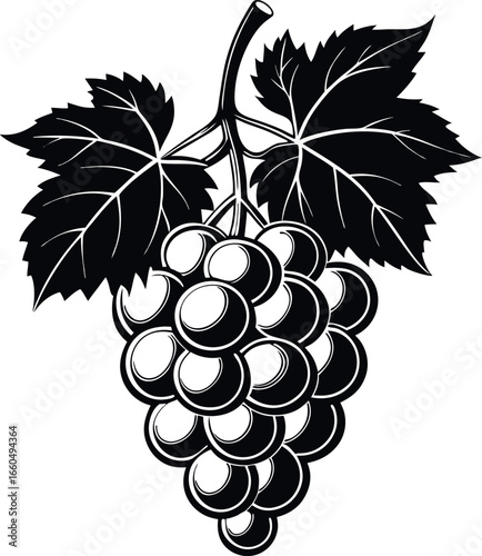 Grape Cluster with Vine Leaves Black and White Vector Illustration
