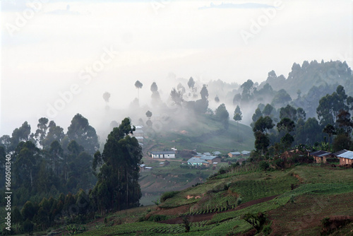 Landscape in Western Uganda