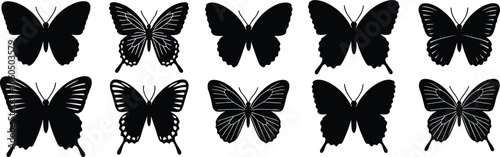 Butterfly silhouette vector illustration set, ten unique wing patterns and shapes, black designs for nature, garden, insect, decorative, seasonal, entomology themes