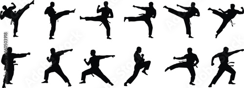 Martial arts silhouette illustration collection, twelve dynamic poses with kicks, punches, and stances, black vector art for combat, sport, training, self‑defense, fitness themes