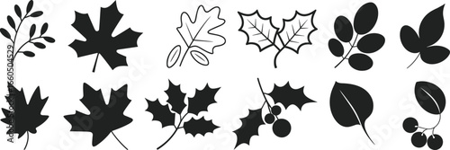 Leaf silhouettes, twelve distinct foliage shapes including smooth, jagged, and lobed edges with berries, black vector illustration for botanical, garden, nature, decorative, plant, design themes