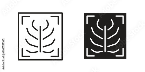 X ray icon
