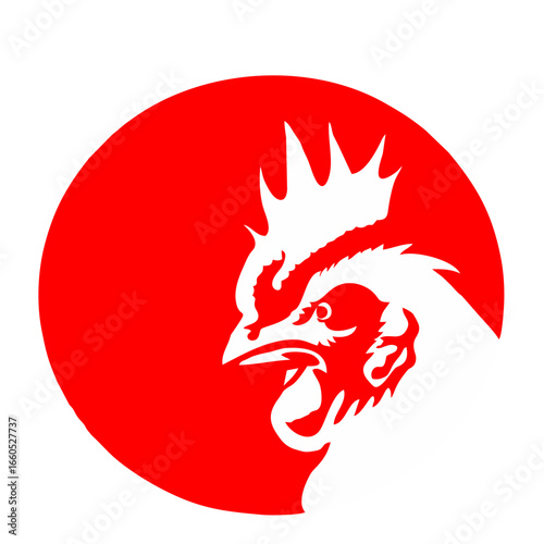 rooster vector illustration