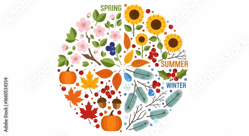 Colorful circular vector illustration with seasonal plants and flowers including sunflower, rose, and decorative garden elements.