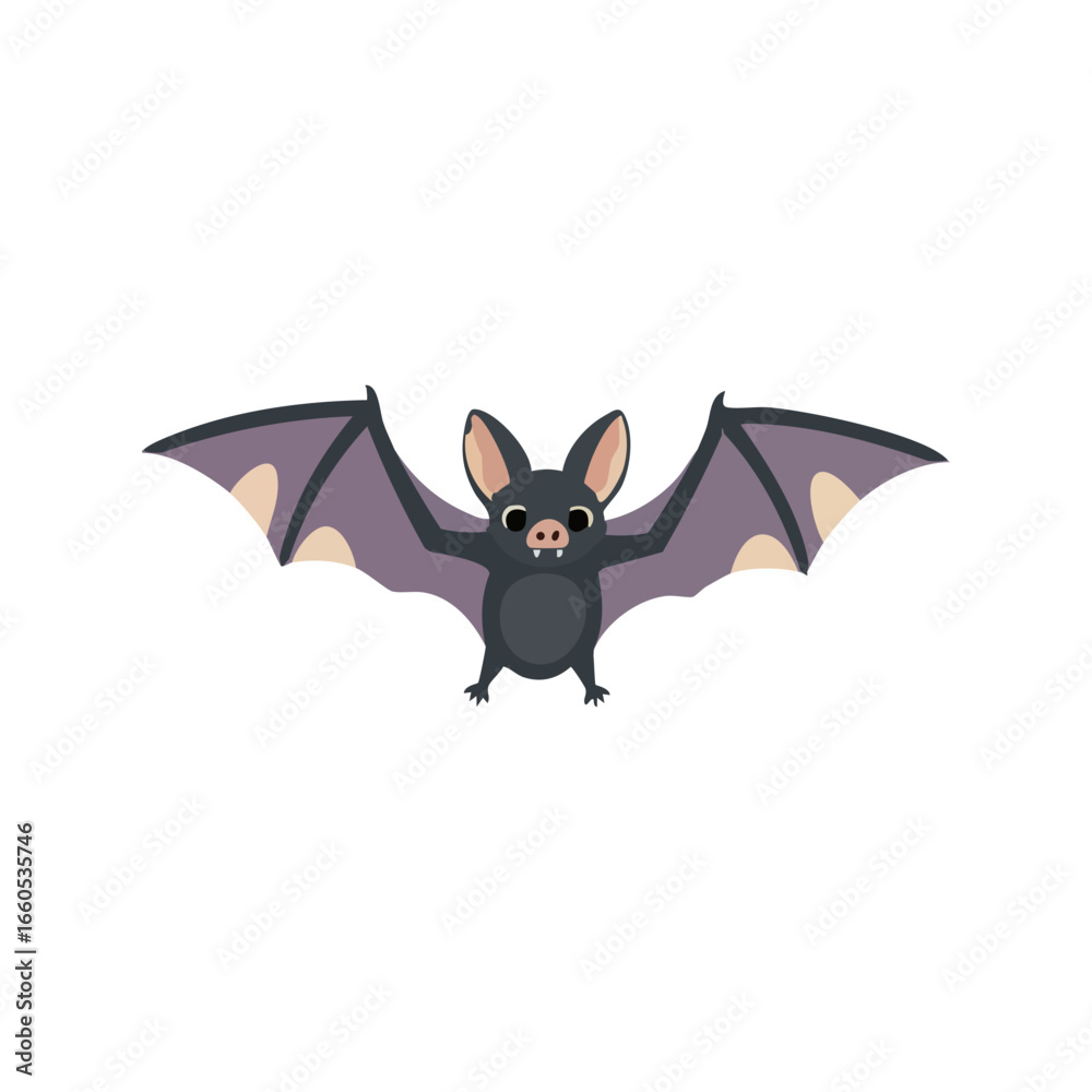 Fototapeta premium black spider silhouette isolated on white