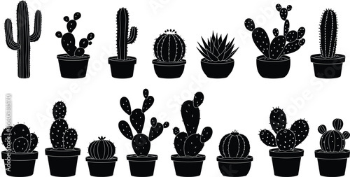 Cactus and succulent plant silhouette set in pots, desert nature decoration, gardening, eco lifestyle, home decor vector illustration