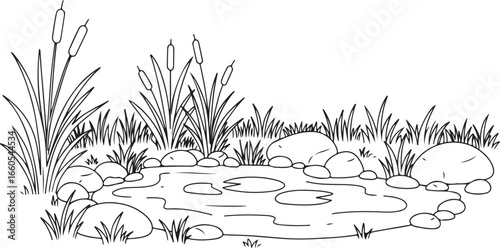Black and white illustration of a pond with cattails and rocks water nature