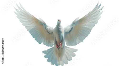 White dove with outstretched angel wings flying in the sky, symbolizing peace and love