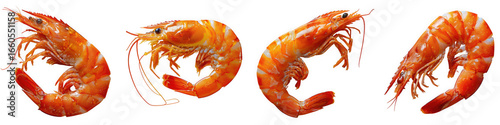 Panel kuchenny z motywem Four cooked shrimp arranged at different angles isolated on transparent background