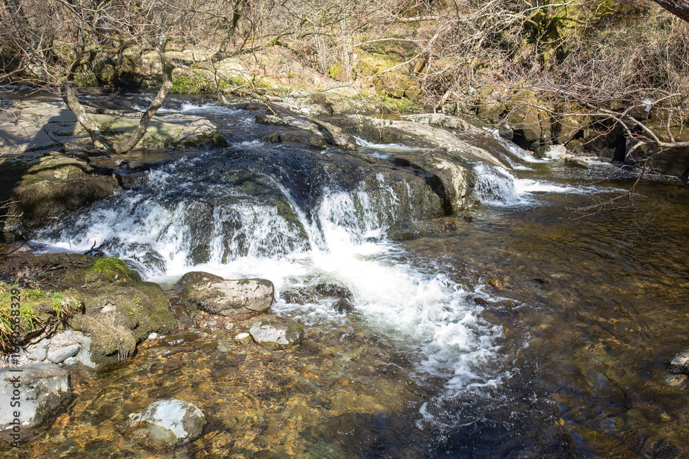 Obraz premium Waterfall