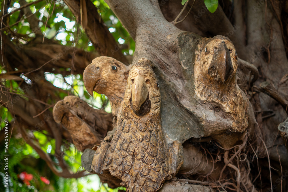 Obraz premium Intricate wood carving of parrot faces blending into tree trunk in vibrant forest