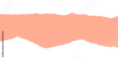 Wallpaper Mural Abstract salmon colored blob with pixelated edges on a black background in a simple composition Torontodigital.ca