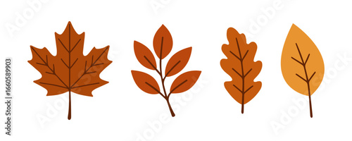Autumn leaves set in flat style. Seasonal fall foliage illustration. Autumn season and Thanksgiving concept