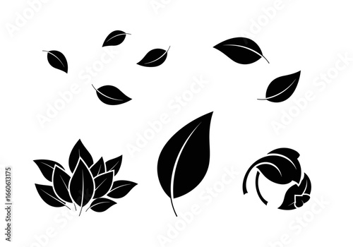 Collection of various stylized leaf illustrations with different shapes and arrangements shown clearly