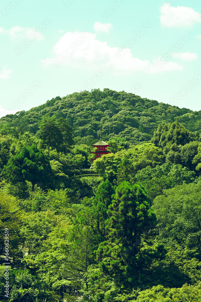 Obraz premium Kiyomizu-dera
