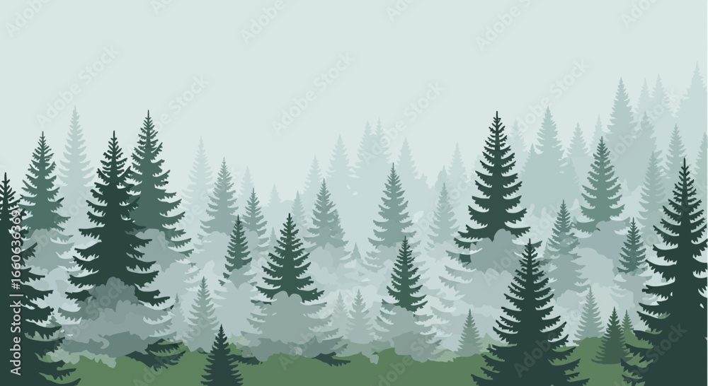 Fototapeta premium Misty Evergreen Forest In The Wilderness Coniferous Silhouette Vector