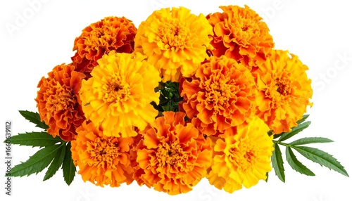 Orange marigold bouquet