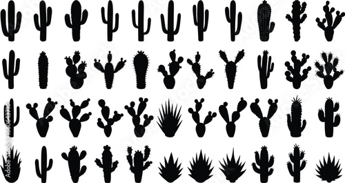 Cactus silhouette collection, desert plant vector, black cactus icon, succulent shapes, botanical illustration, nature elements, prickly design set