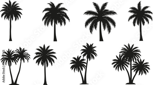 Palm tree silhouette collection, tropical summer tree illustration, black coconut palm vector design, beach tree isolated elements for decoration