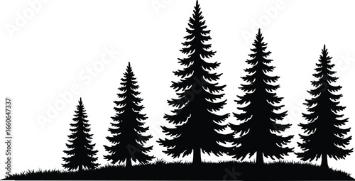 Pine tree forest silhouette vector, natural landscape illustration, evergreen conifer trees in black silhouette style, isolated woodland scene design