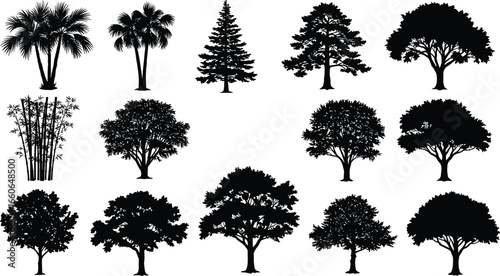 Silhouette tree collection vector, tropical and forest trees bundle, black tree shapes for landscape, palm, pine, and deciduous design set