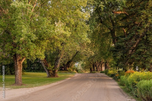 Fotografija Beautiful tree-lined stretch of Darling Hill Road in Burke, Vermont
