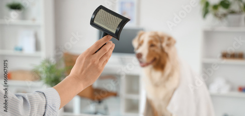 Female groomer with brush a...