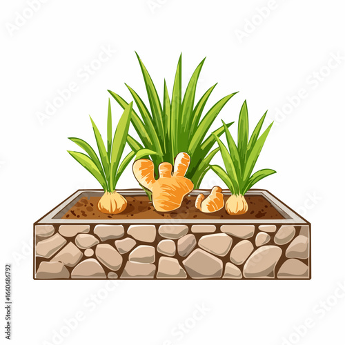 Vibrant Herb Garden with Ginger and Onions in Stone Planter