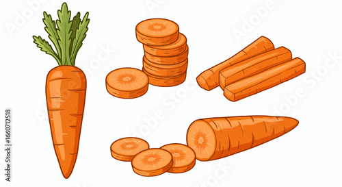 Vibrant vector illustration showcasing a whole carrot and several sliced carrots, perfect for culinary projects, educational materials, or health-focused designs, rendered in PNG format.