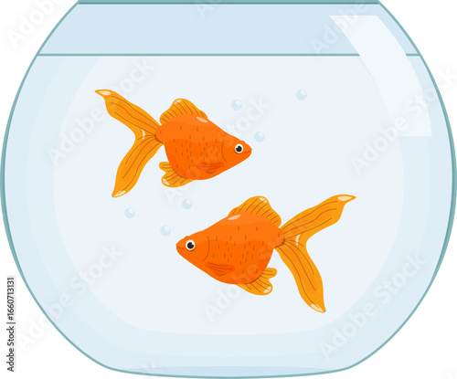 aquarium fish