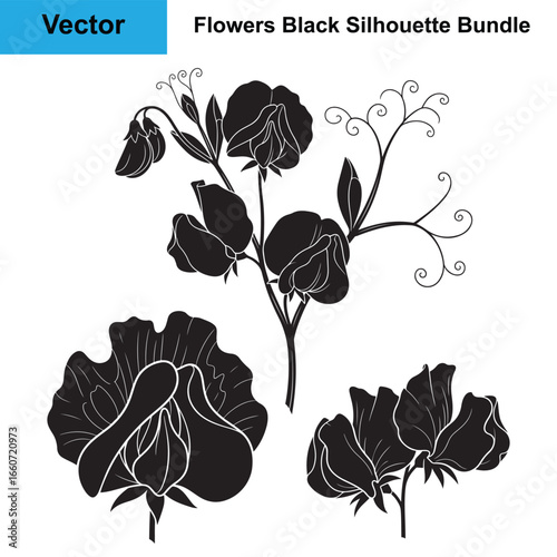 Delicate Sweet Pea Flower on Vine Black Silhouette Icon Set