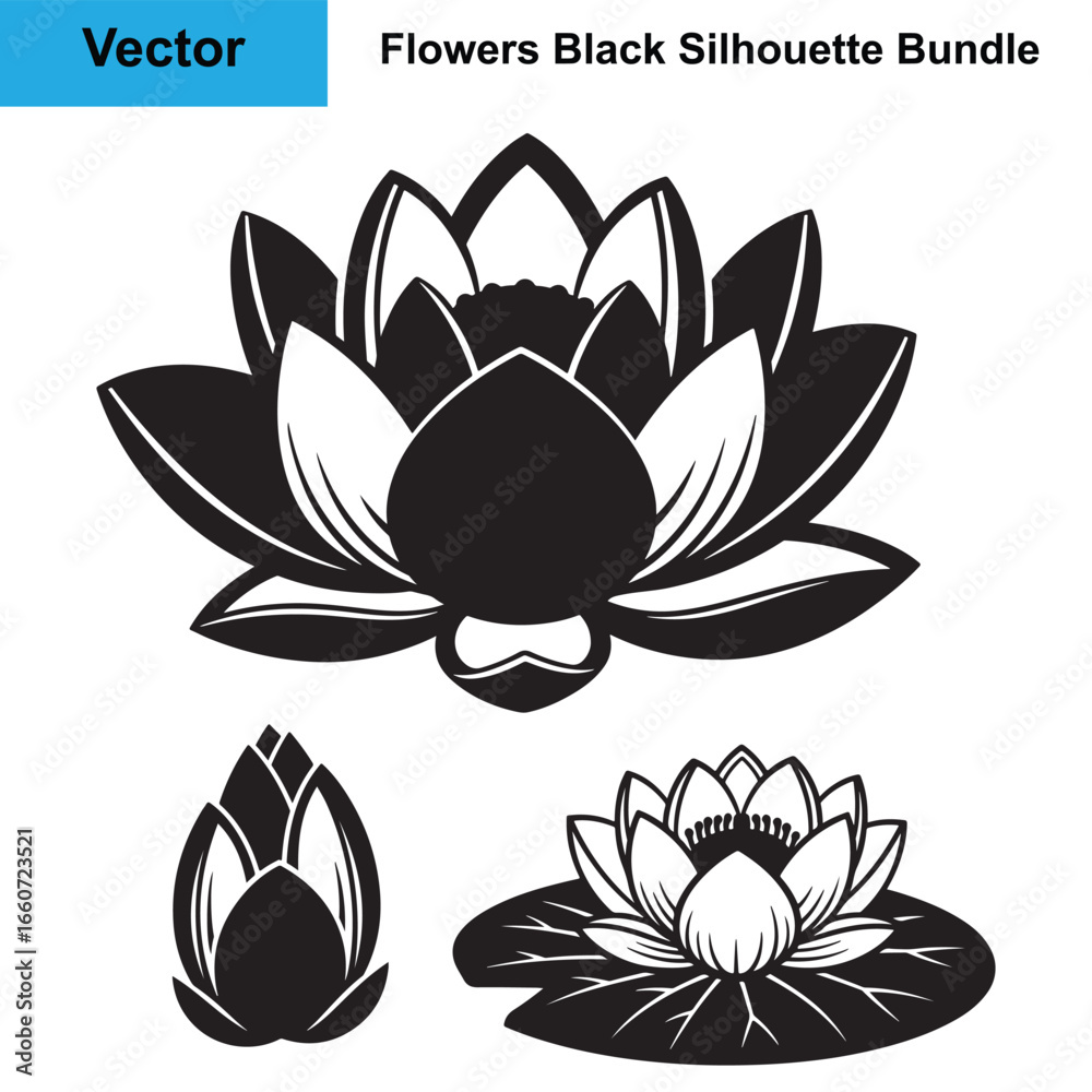 Fototapeta premium Water Lily Flower and Bud on Pond Black Silhouette Icons
