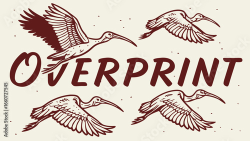 Stylized Ibis Birds in Flight Illustration.