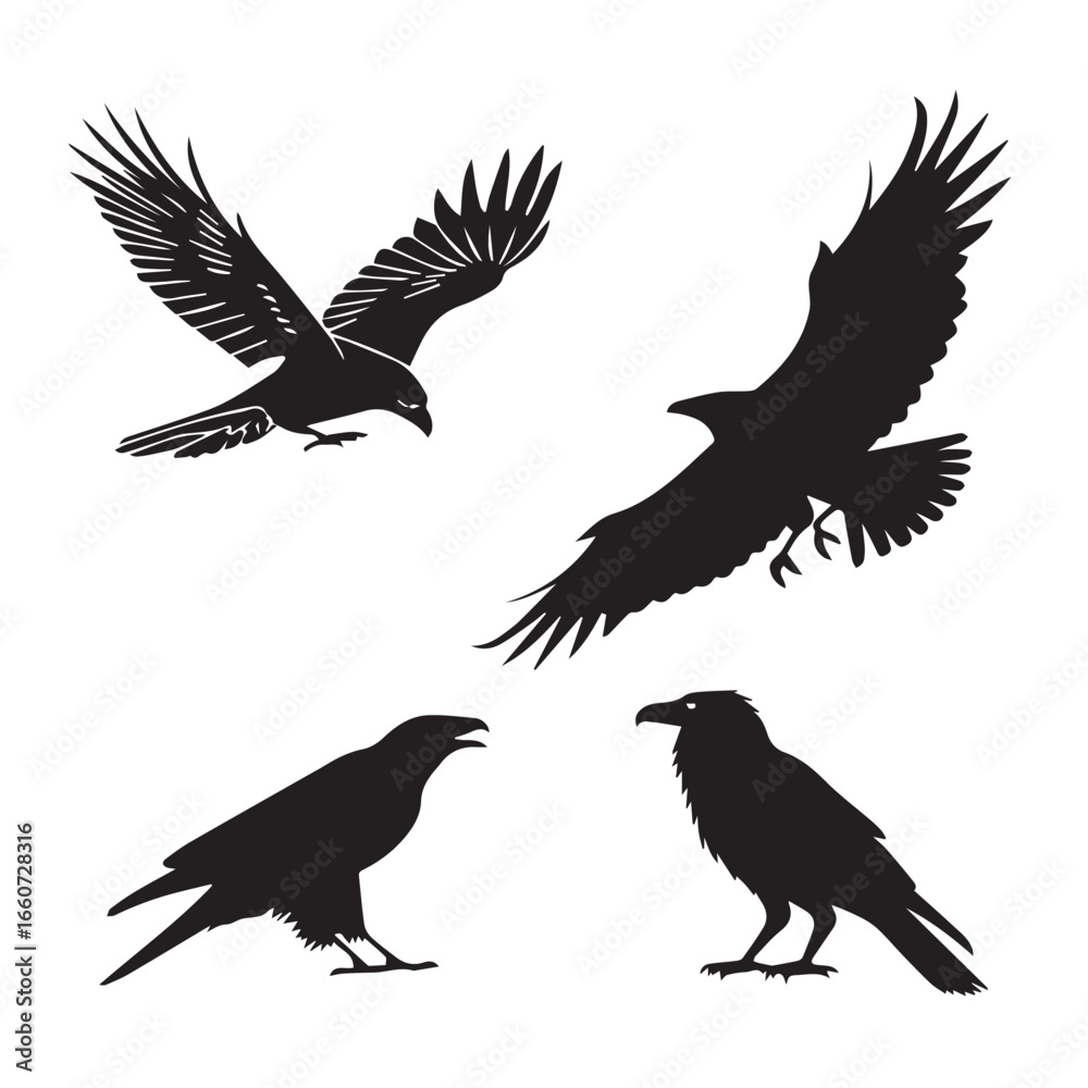 Obraz premium Silhouette of crows and ravens in various poses isolated on white background