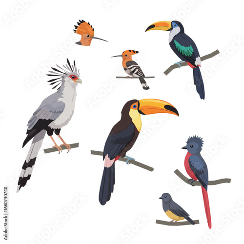 Illustration of various colorful tropical birds perched on branches.