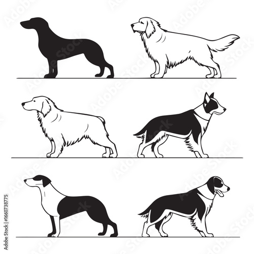 Collection of different dog breeds isolated on white background in black and white