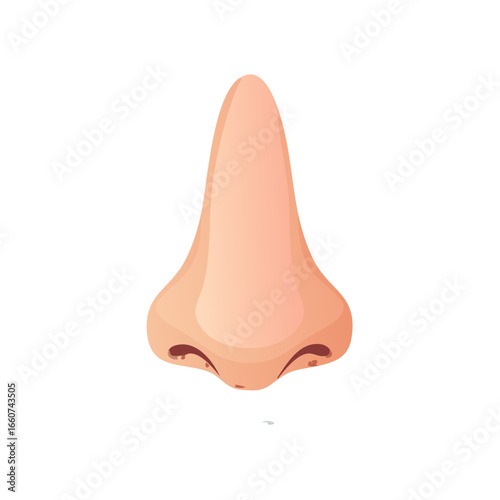 Human nose detail illustrated for health, beauty or medical illustration.