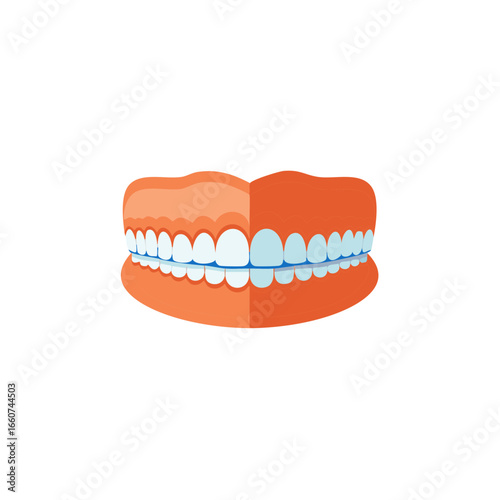 Full Set of False Teeth Against an Isolated Backdrop Illustrating Dental Hygiene and Dental Care for the Elderly