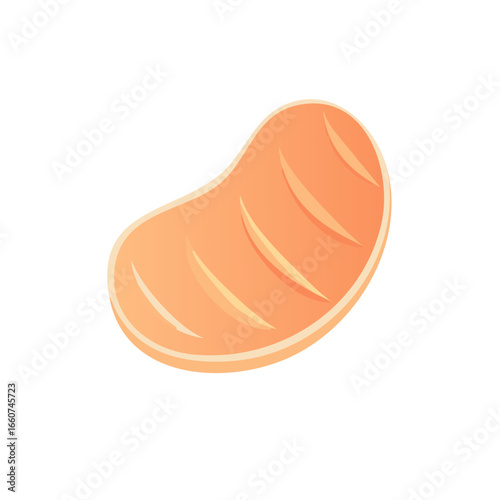 Vector illustration featuring a grilled chicken tender or a piece of grilled meat in a cartoon style