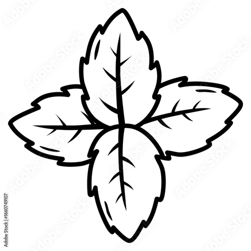 vector illustration of mint leaf