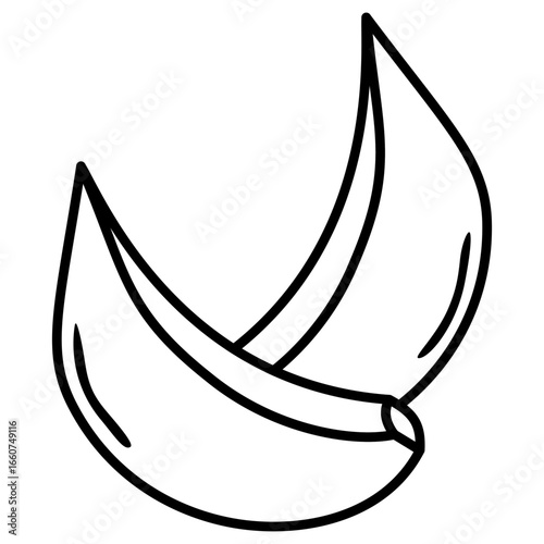 illustration of garlic 