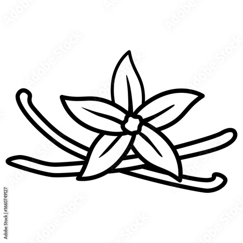vector illustration of vanilla 