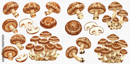 A collection of watercolor illustrations of shiitake mushrooms, featuring whole, sliced, and clustered fungi.