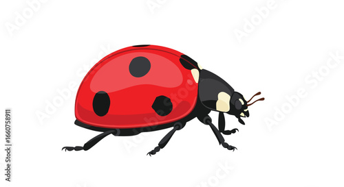 Detailed illustration of a ladybug with red shell and black spots in a clean and simple background