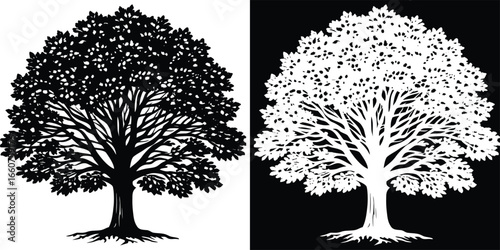 Stunning silhouette of a majestic deciduous tree with intricate branches and lush foliage, perfect for design.