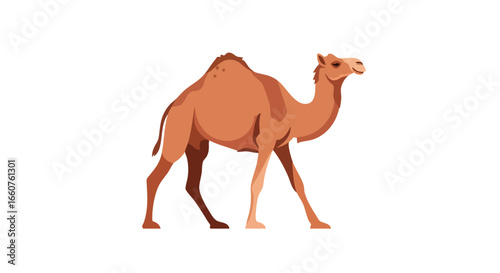 Detailed and Stylized Illustration of a Camel on a Clean White Background Perfect for Design Elements or Educational Purposes