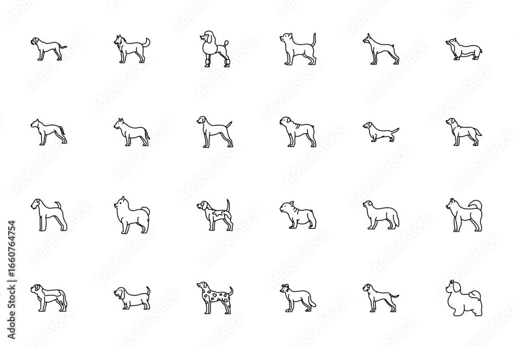 Obraz premium Dog Breeds icon set. Vector illustration of various dog breeds including Bullmastiff, Siberian Husky, Poodle, Chihuahua, Doberman, Corgi and more.