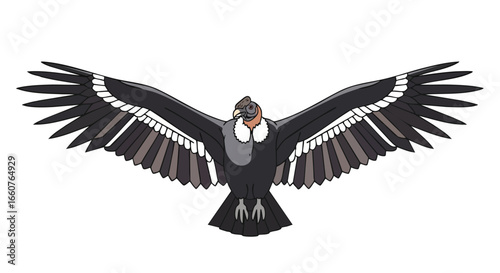 Majestic Andean Condor: A Detailed Illustration of South America's National Bird Soaring High Above the Peaks