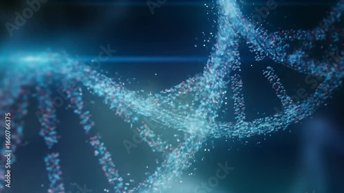 Human DNA Double Helix Structure Animation