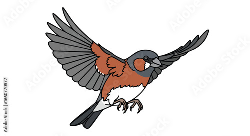 A vibrant illustration of a finch in mid-flight showcasing its unique markings and outstretched wings against a plain backdrop highlighting its